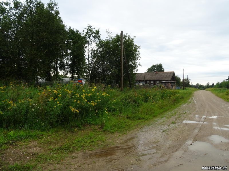 14 августа 2017 г.